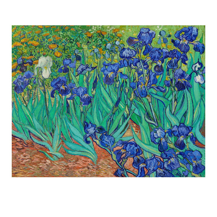 Loopy Impressions Van Gogh's Irises